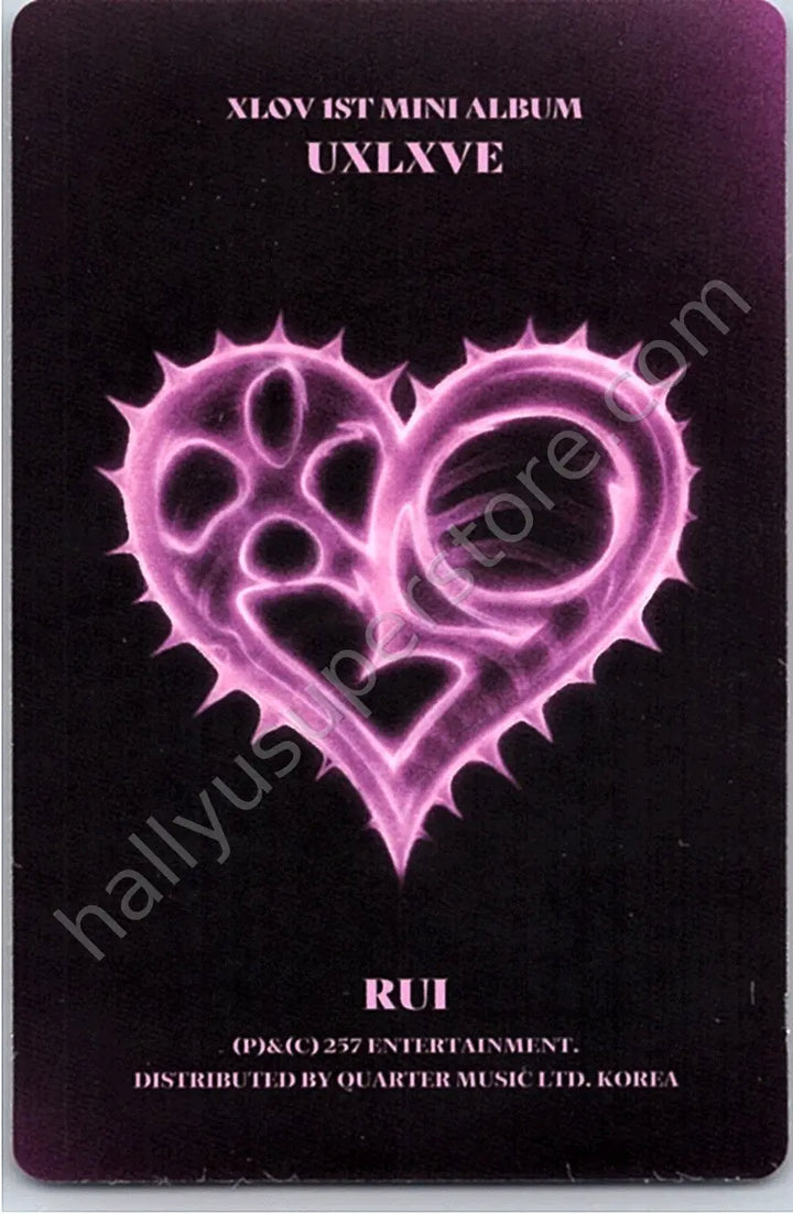 XLOV - Rui - UXLXVE album photocard O version