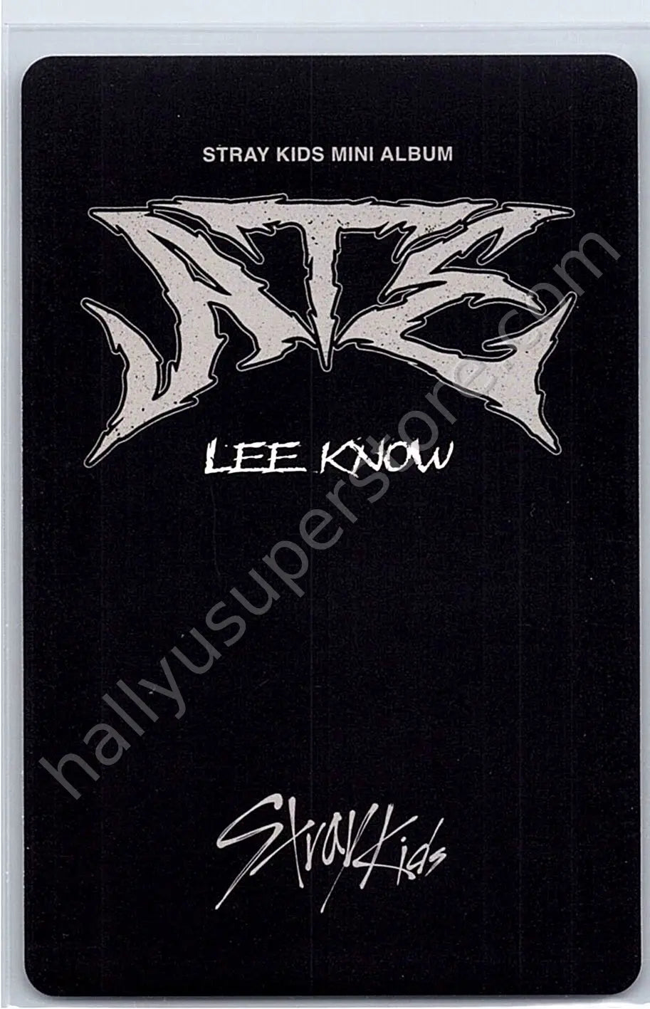 Stray Kids - Lee Know - ATE A version album photocard nemo version photocard set