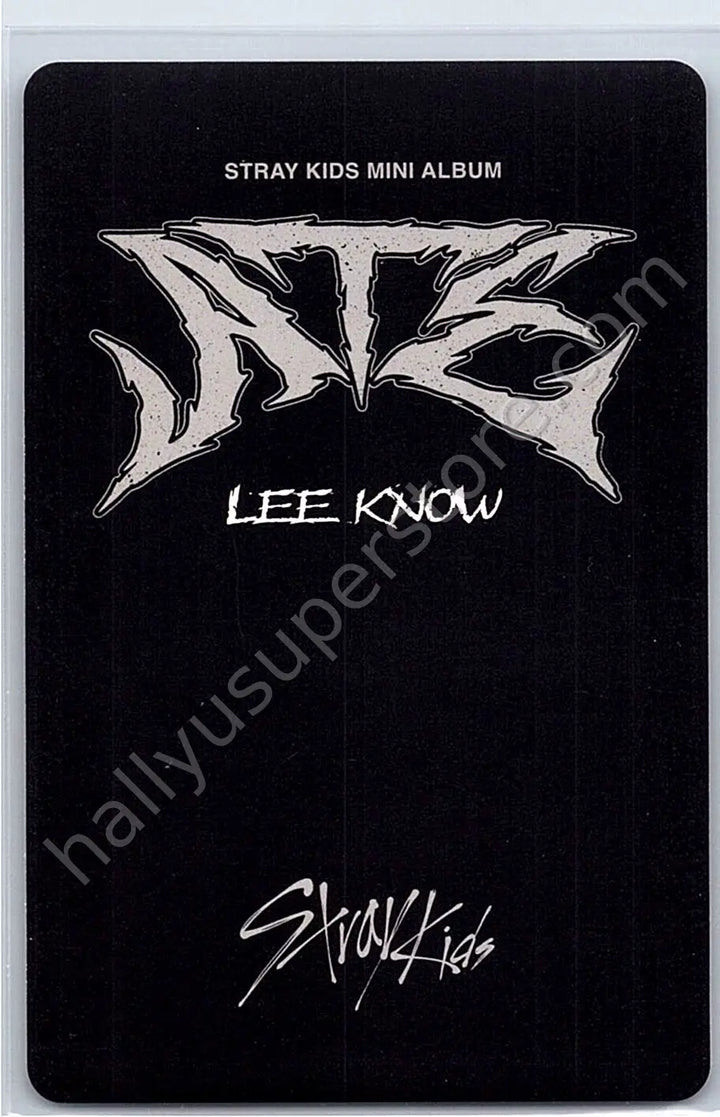 Stray Kids - Lee Know - ATE A version album photocard nemo version photocard set