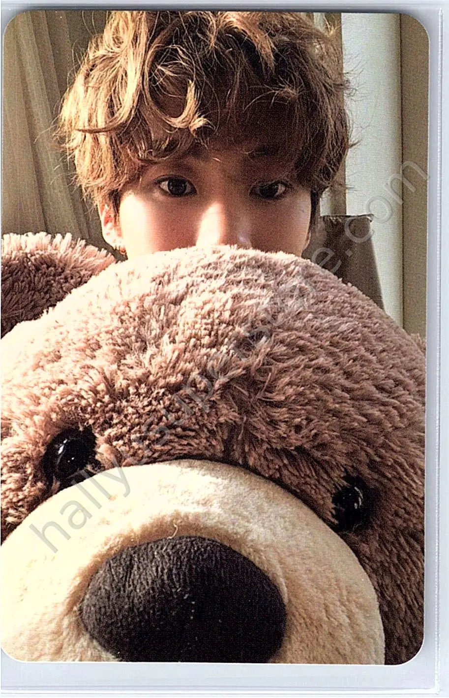 RIIZE  - Anton - Riizing album photocard C version collect book