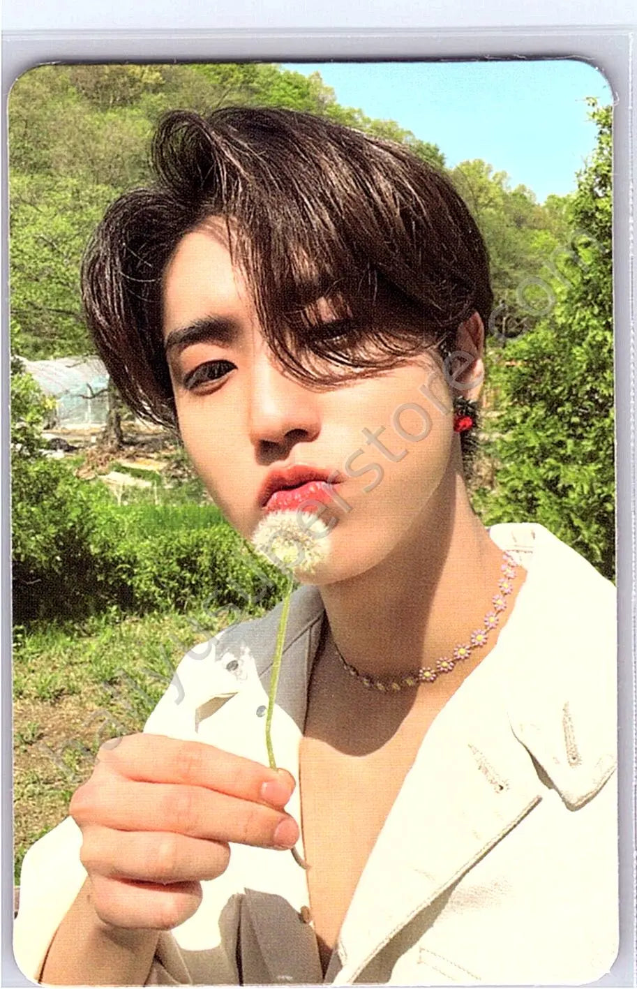 Stray Kids - HAN - Maxident album photocard t-crush version