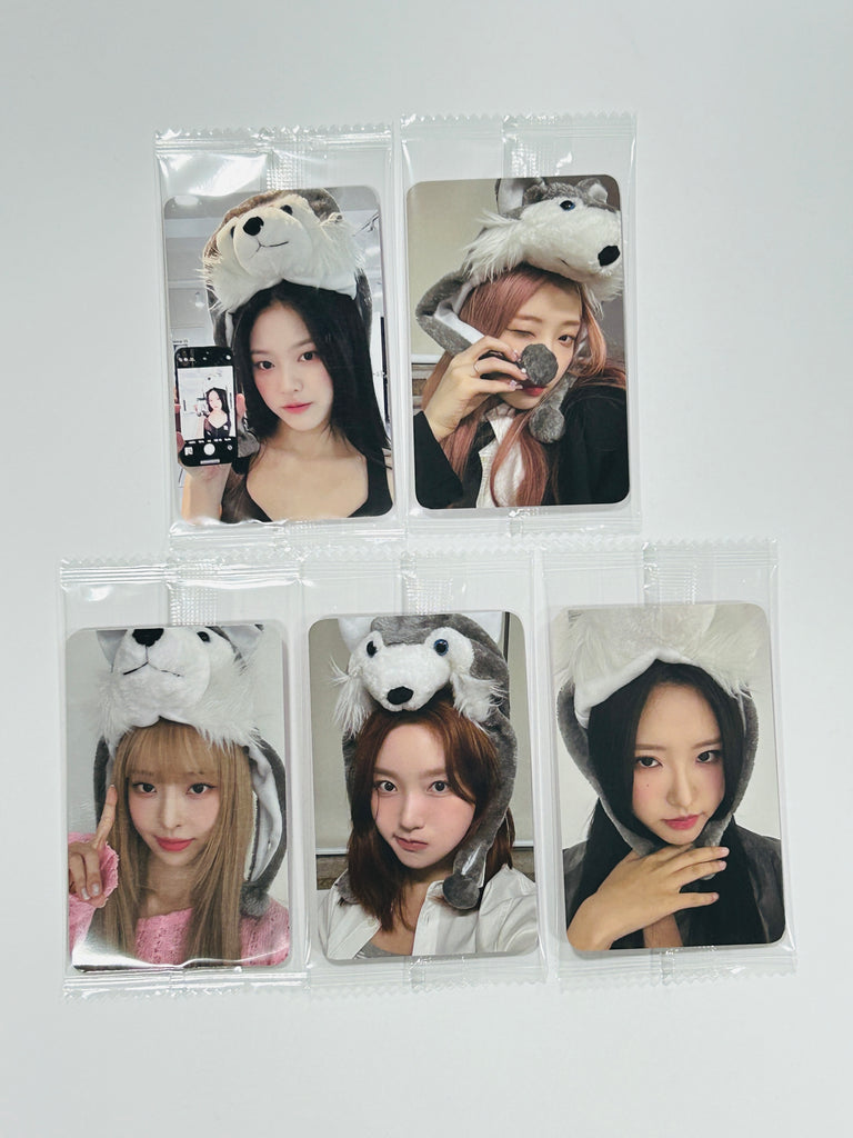 loona loossemble flip that トレカ ゴウォン セット loona flip that Everline MD ゴウォン トレカ セット