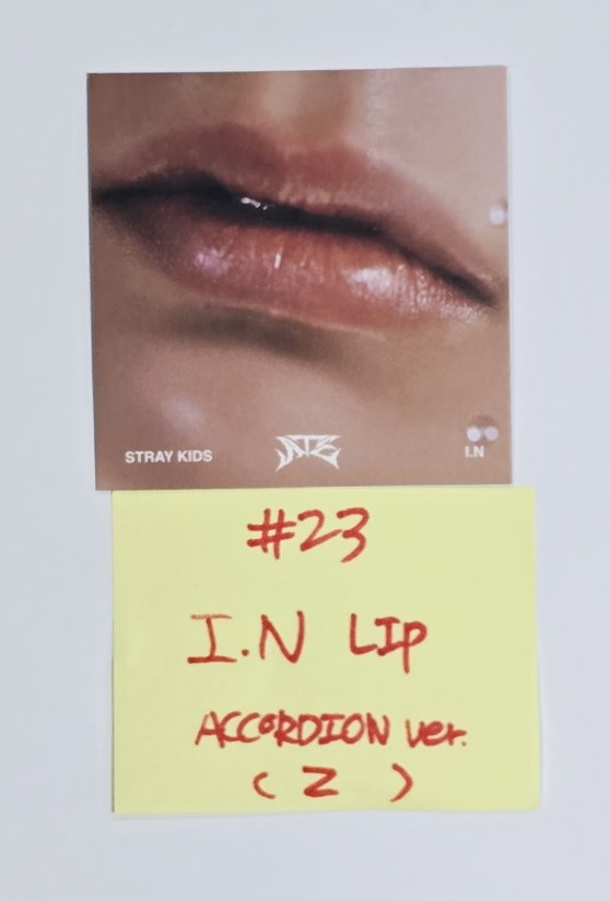 Stray Kids "ATE" - Official Photocard [Accordion Ver.] [24.7.23] - HALLYUSUPERSTORE