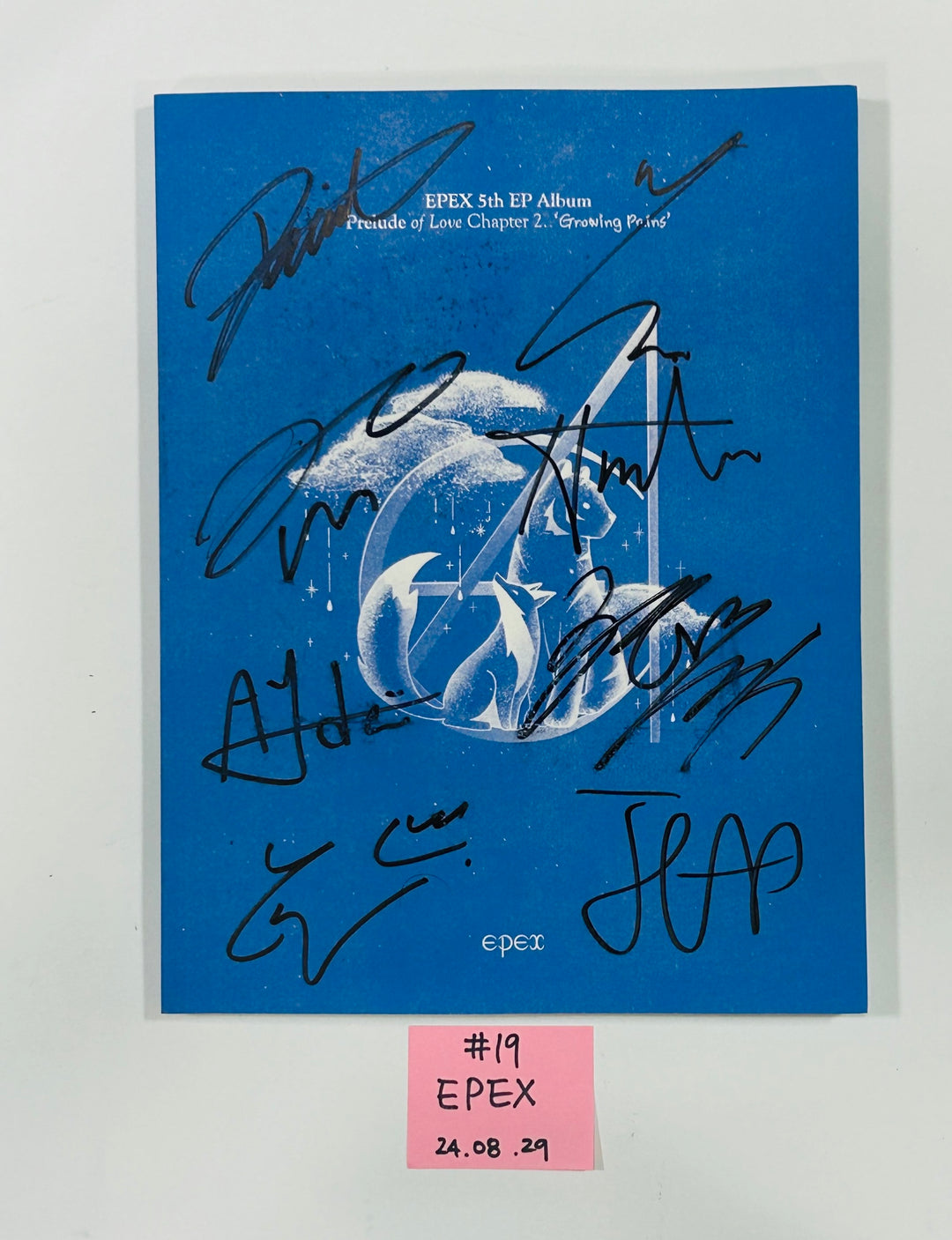 ARrC, Candy Shop, Eunbi, Yonite, Badvillain, Purple Kiss, Jueun, 8TURN, X:IN, DKB, MCND, EPEX - Hand Autographed(Signed) Promo Album [24.8.29] - HALLYUSUPERSTORE