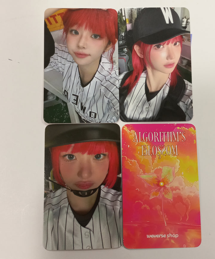 QWER "Algorithm's Blossom" - Weverse Shop Pre-Order Benefit Photocard [24.9.26] - HALLYUSUPERSTORE