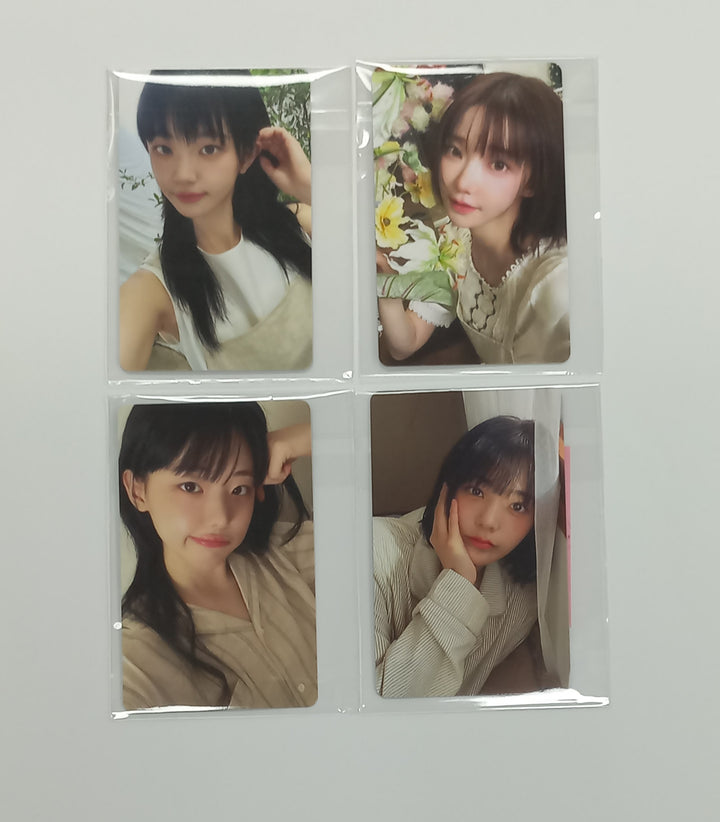 QWER "Algorithm's Blossom" - Weverse Shop Fansign Event Photocard [24.9.30] - HALLYUSUPERSTORE