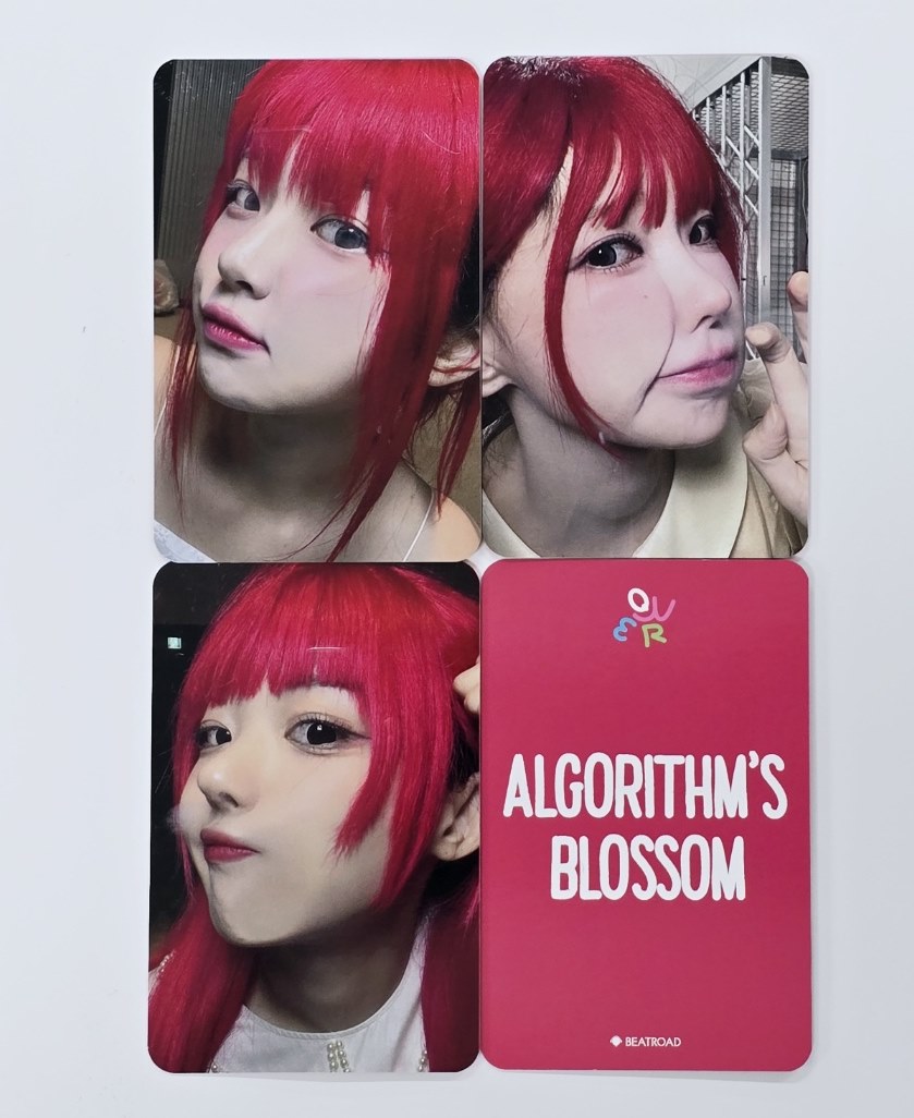 QWER "Algorithm's Blossom" - Beat Road Fansign Event Winner Photocard [24.10.28]