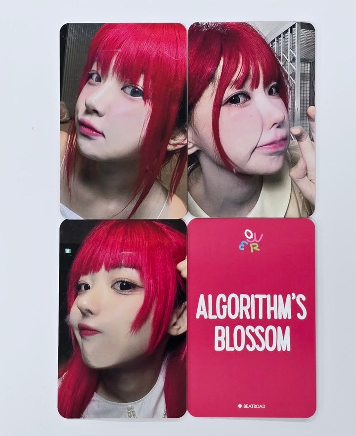 QWER "Algorithm's Blossom" - Beat Road Fansign Event Winner Photocard [24.10.28]