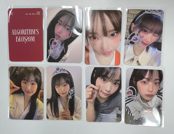 QWER "Algorithm's Blossom" - K-pop Store Fansign Event Photocard [24.11.1]