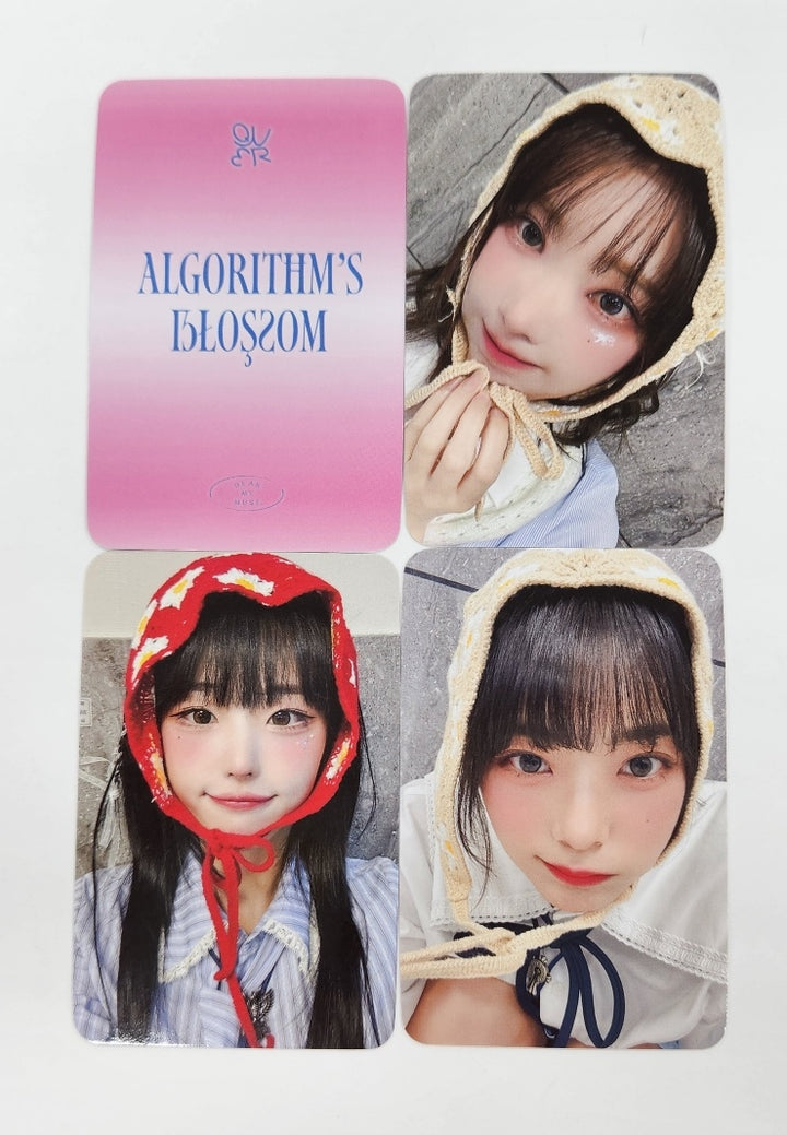 QWER "Algorithm's Blossom" - Dear My Muse Fansign Event Photocard Round 5 [24.11.5]