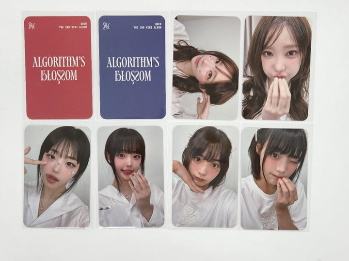 QWER "Algorithm's Blossom" - K-pop Store Fansign Event Photocard Round 2 [24.11.11]