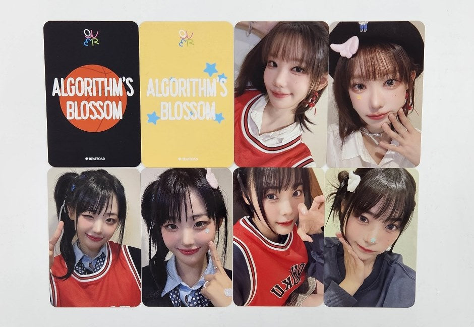 QWER "Algorithm's Blossom" - Beat Road Fansign Event Photocard Round 3 [24.11.12]