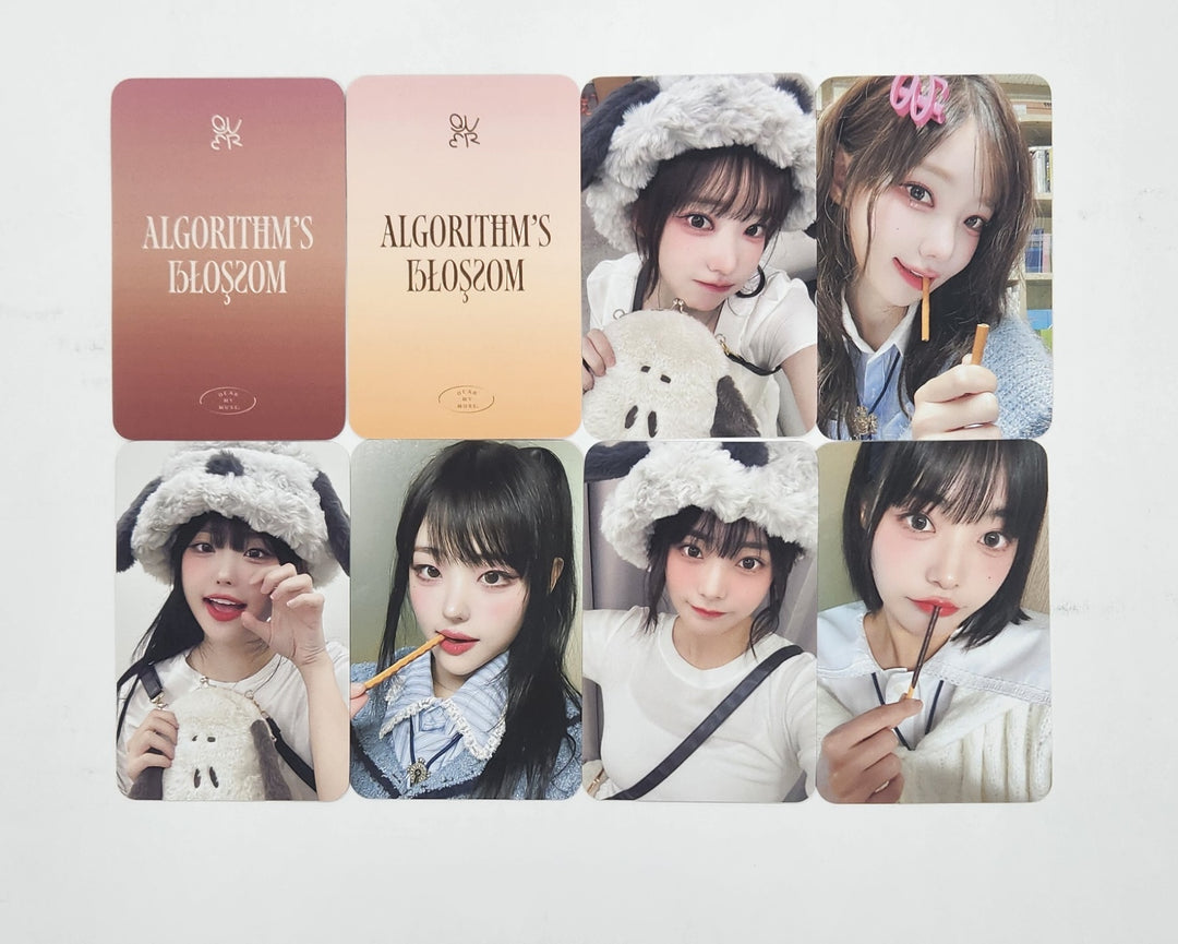 QWER "Algorithm's Blossom" - Dear My Muse Fansign Event Photocard Round 8 [24.11.22]