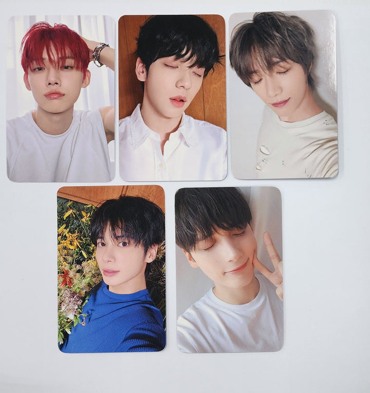 TXT "SANCTUARY" - Dear My Muse Fansign Event Photocard [24.12.6]