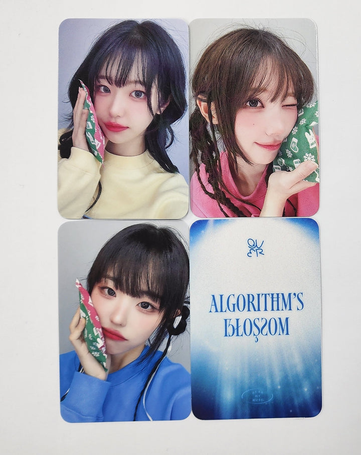 QWER "Algorithm's Blossom" - Dear My Muse Fansign Event Photocard Round 11 [24.12.23]