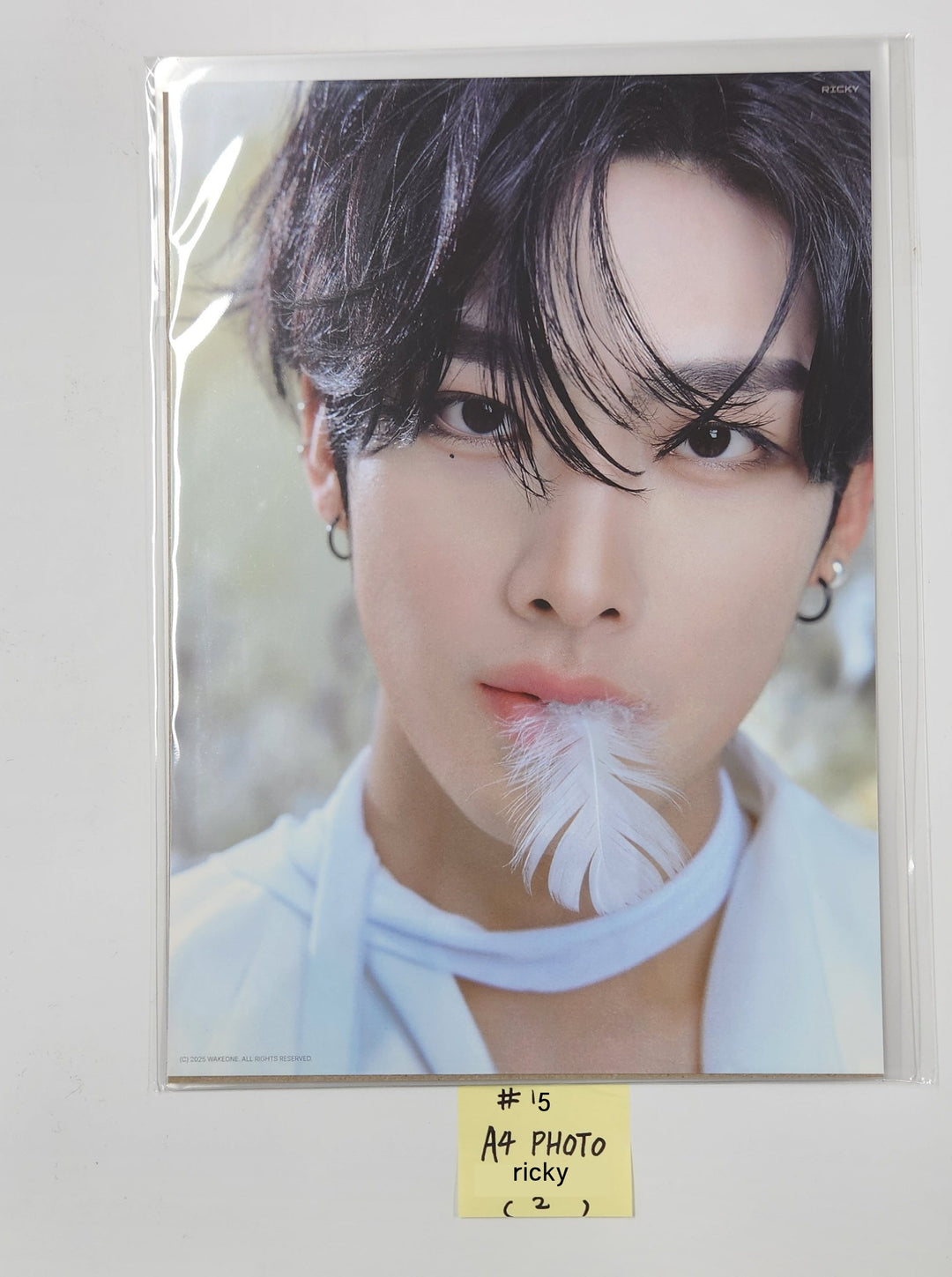 ZEROBASEONE "𝗕𝗟𝗨𝗘 𝗣𝗔𝗥𝗔𝗗𝗜𝗦𝗘" The 5th Mini Album - THE HYUNDAI SEOUL POP-UP STORE Official MD (1) [25.2.21]