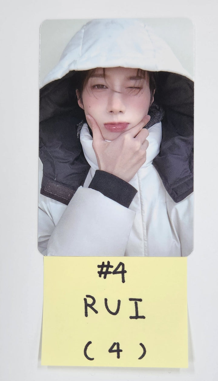 XLOV - 2025 Official Trading Photocard [25.3.5]