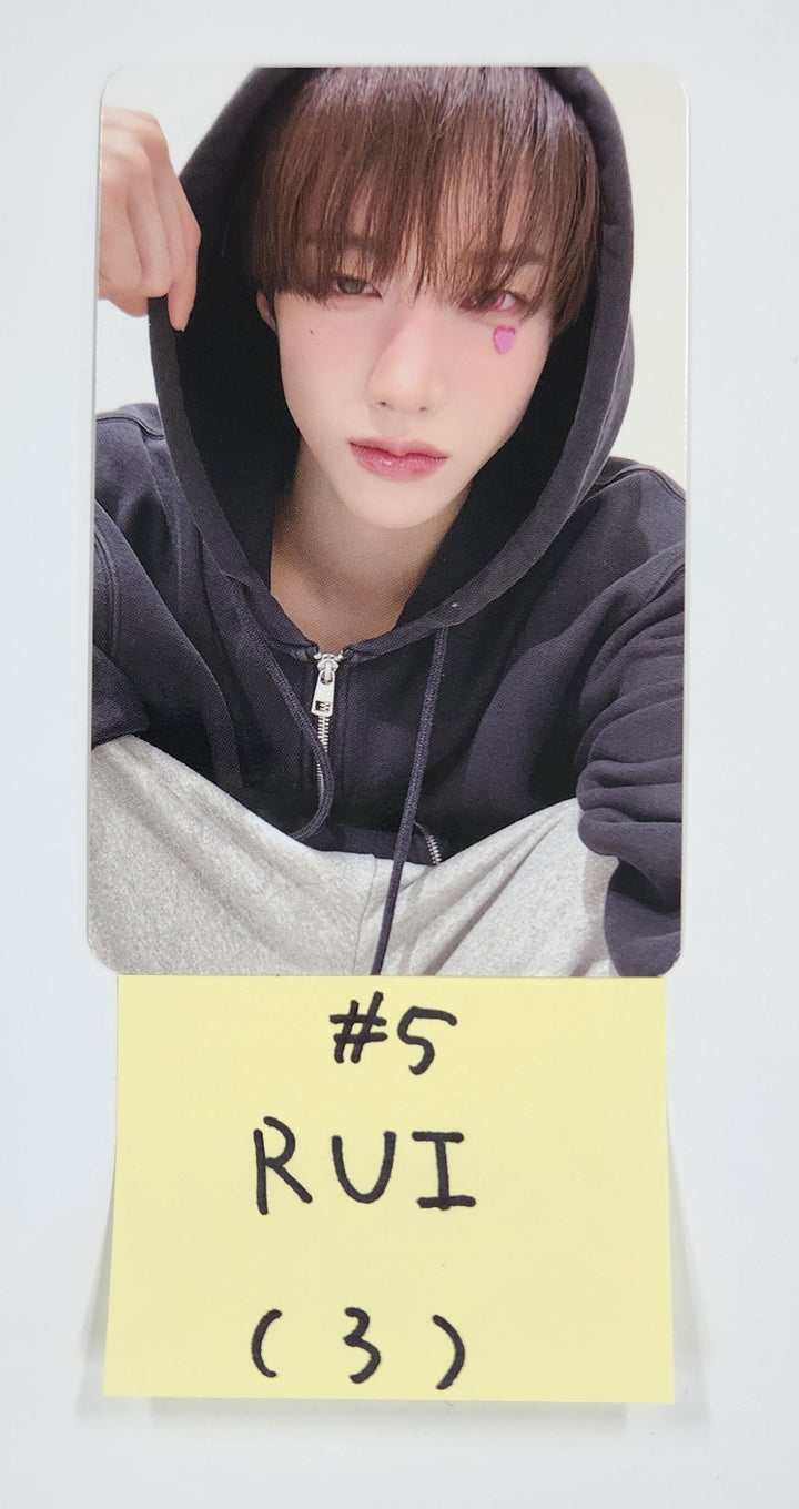 XLOV - 2025 Official Trading Photocard [25.3.5]