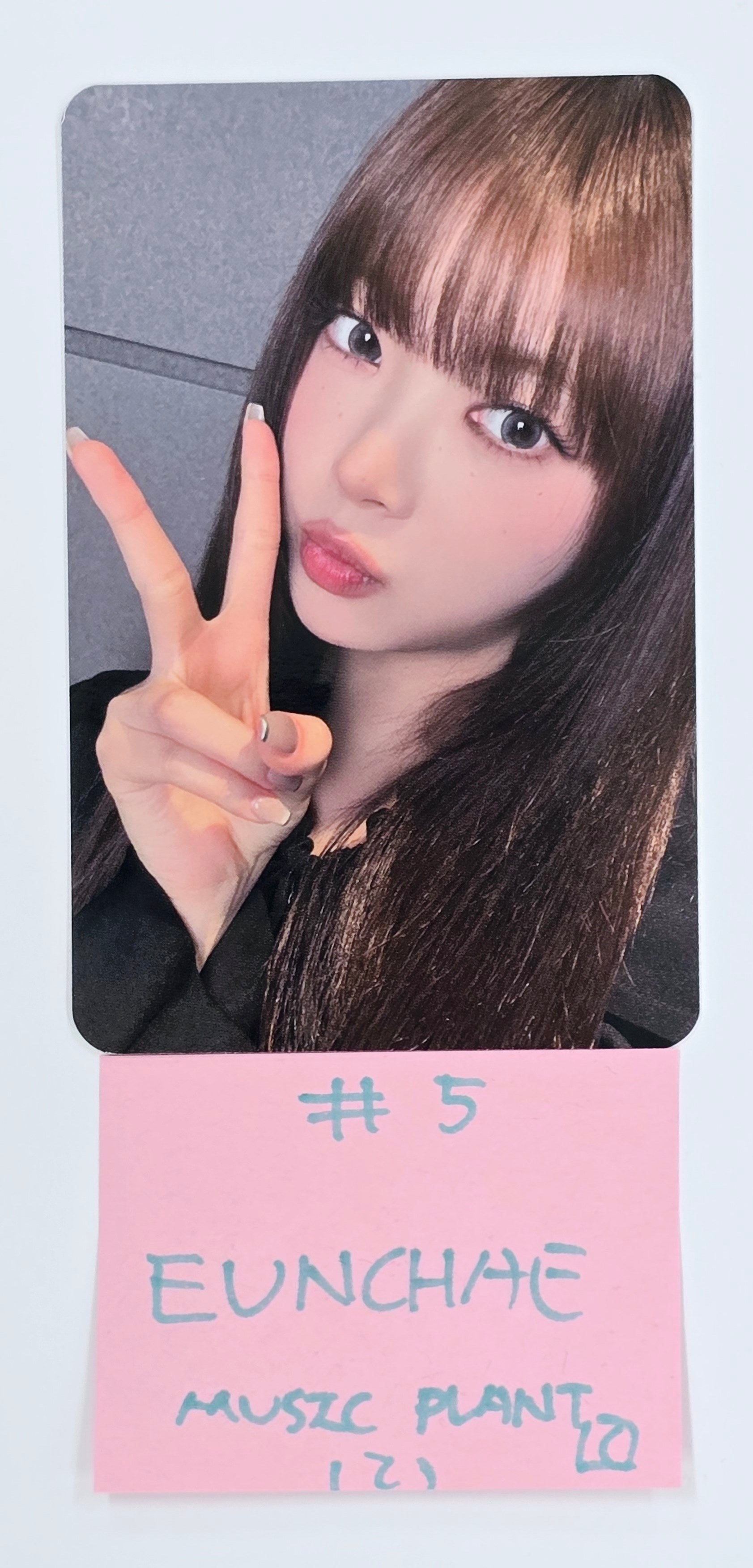 新発売 新商品 ルセラフィム LESSERAFIM HOT サクラ ktown4u