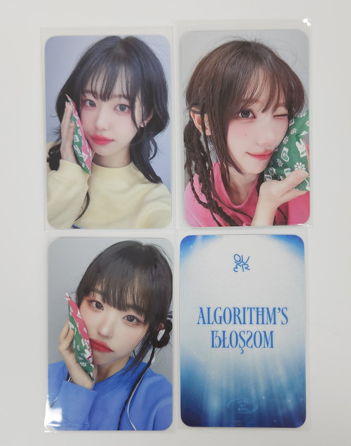 QWER "Algorithm's Blossom" - Dear My Muse Fansign Event Photocard [25.6.4]
