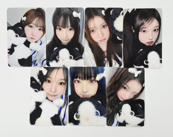 SAY MY NAME "My Name Is..." - Hello Live Fansign Event Photocard Round 2 [mallang ver.] [25.7.23]