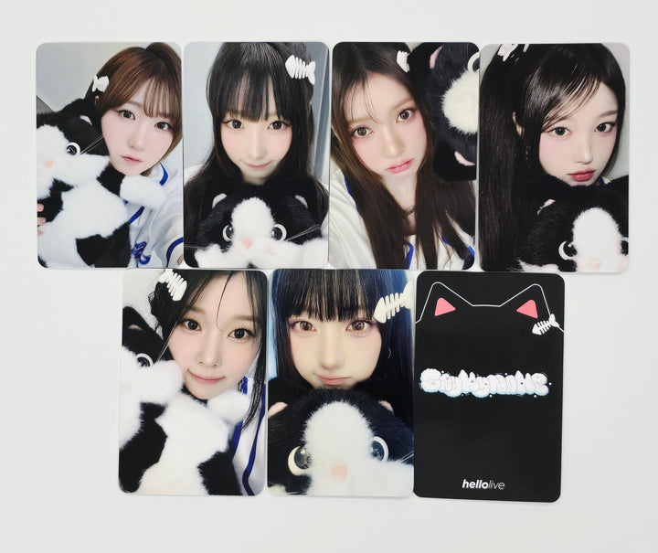 SAY MY NAME "My Name Is..." - Hello Live Fansign Event Photocard Round 2 [mallang ver.] [25.7.23]