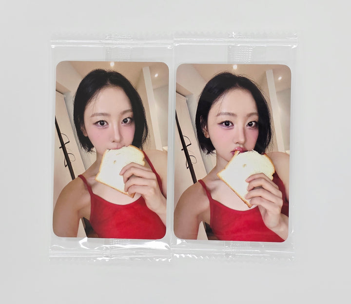 Yves "Soft Error" - Ktown4U Fansign Event Photocard [25.8.11]