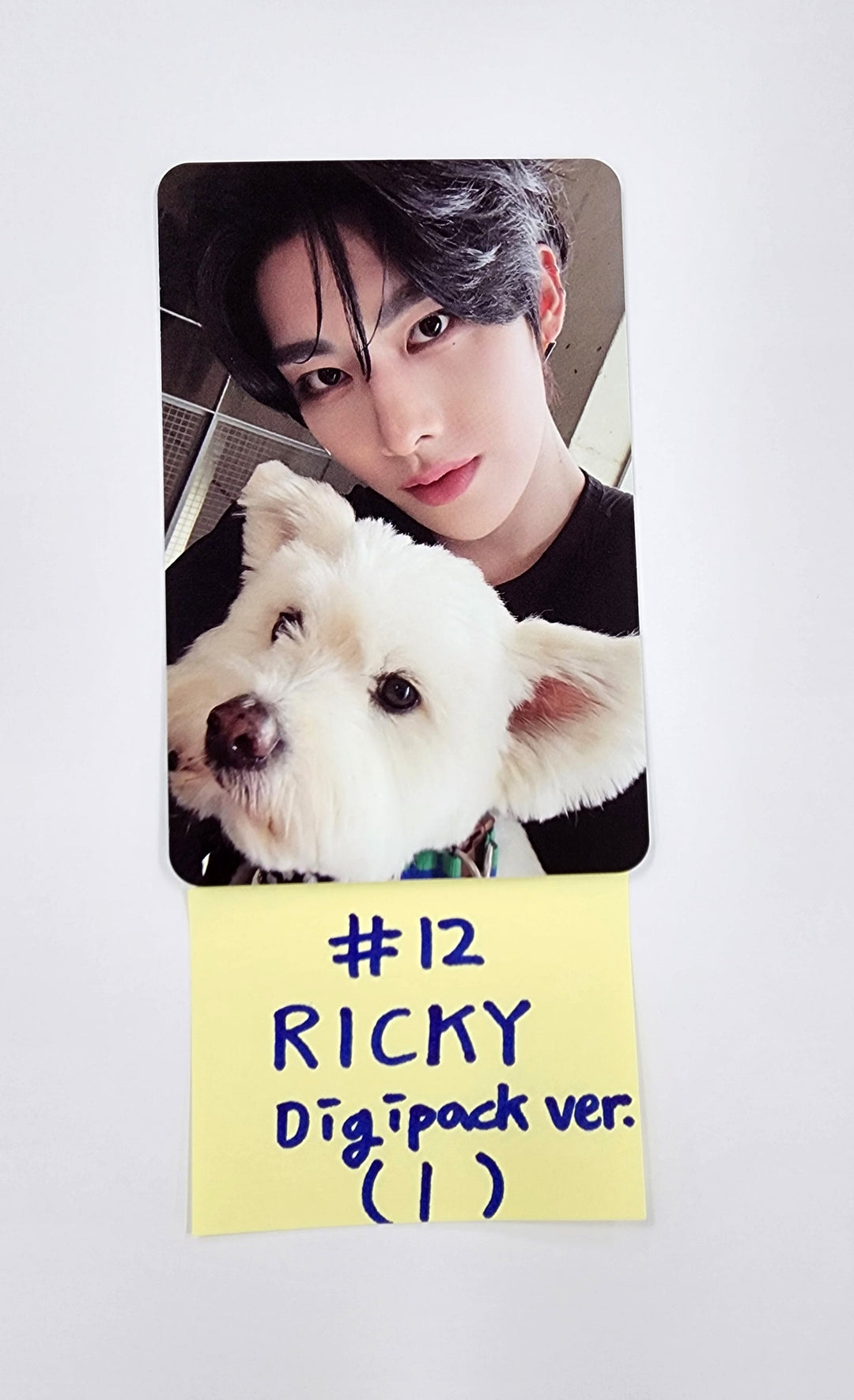 ZEROBASEONE 1st Full "NEVER SAY NEVER" - Official Photocard (DigiPack Ver.) [25.9.2]