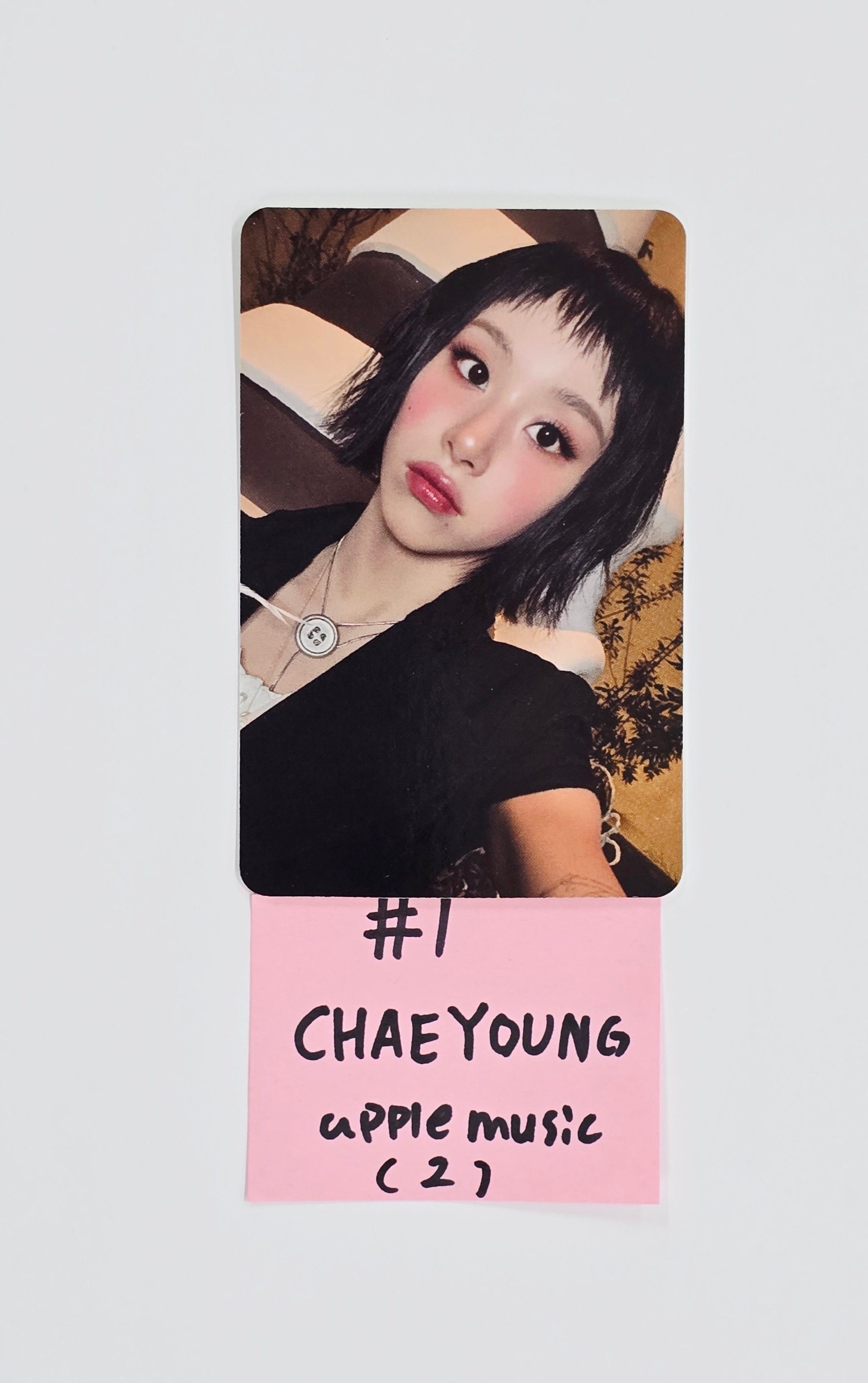 ドッグフード CHAEYOUNG ドッグフード CHAEYOUNG ドッグフード - 【公式】WYSONG（ワイソン