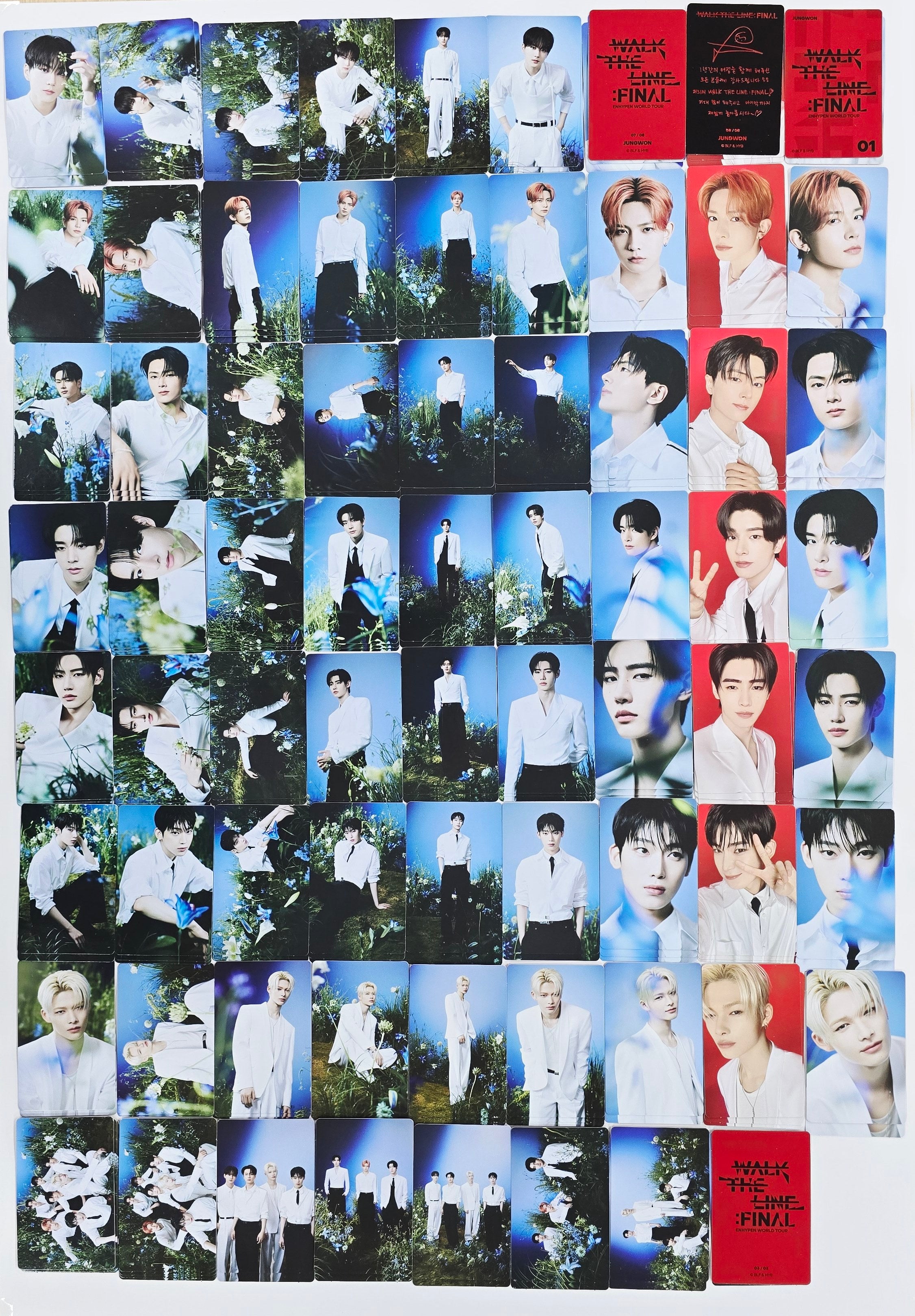 ENHYPEN daydream ラキドロ パワステ オールメンバー7枚セット ENHYPEN daydream ラキドロ パワステ オールメンバー7枚セット