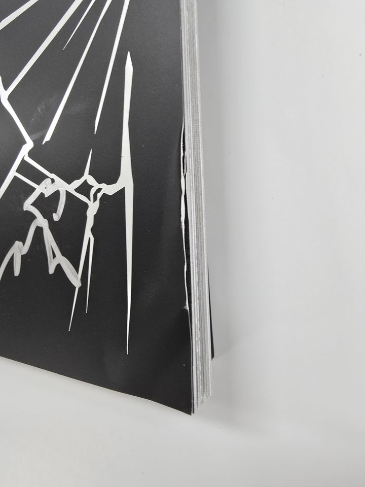 Stray Kids "SKZ IT TAPE 'DO IT'", CLOSE YOUR EYES "Blackout", ALLDAY PROJECT "FAMOUS", Baby DONT Cry "I DONT CARE", NCT DREAM "Beat It Up" - Hand Autographed(Signed) Promo Album [25.11.24]