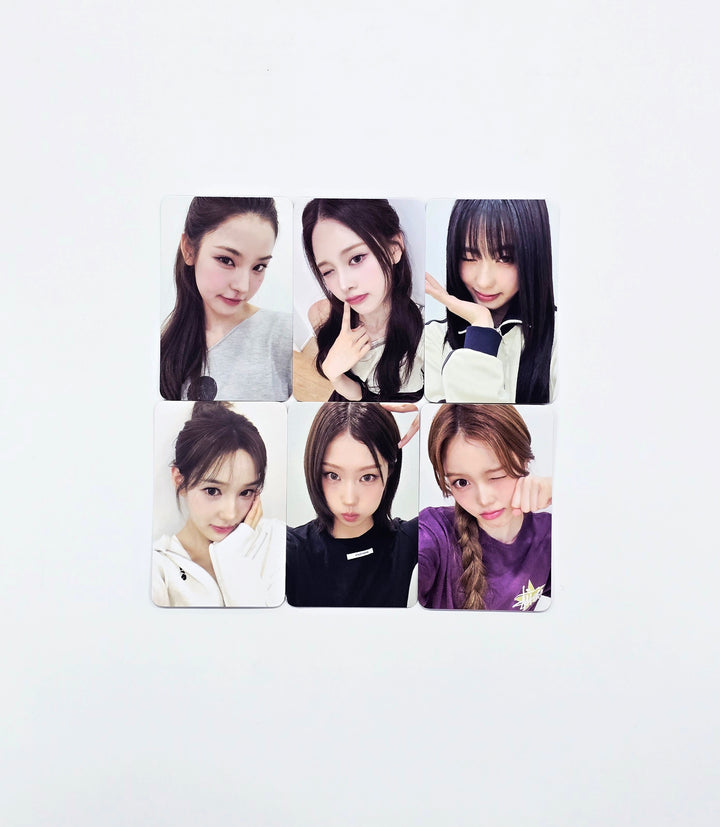 IZNA "Not Just Pretty" - Everline Fansign Event Photocard [26.02.10]