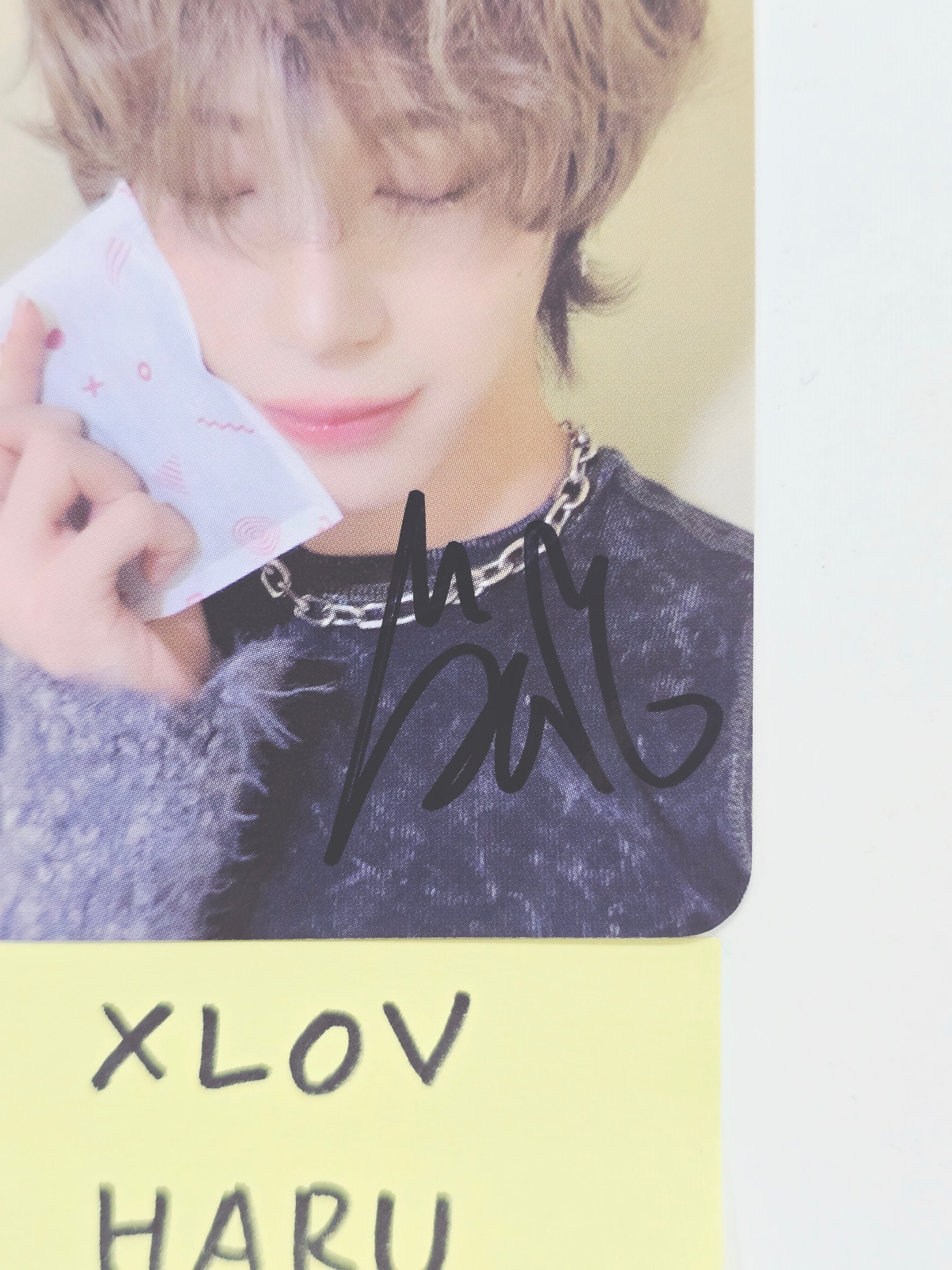 HARU (of XLOV) 
