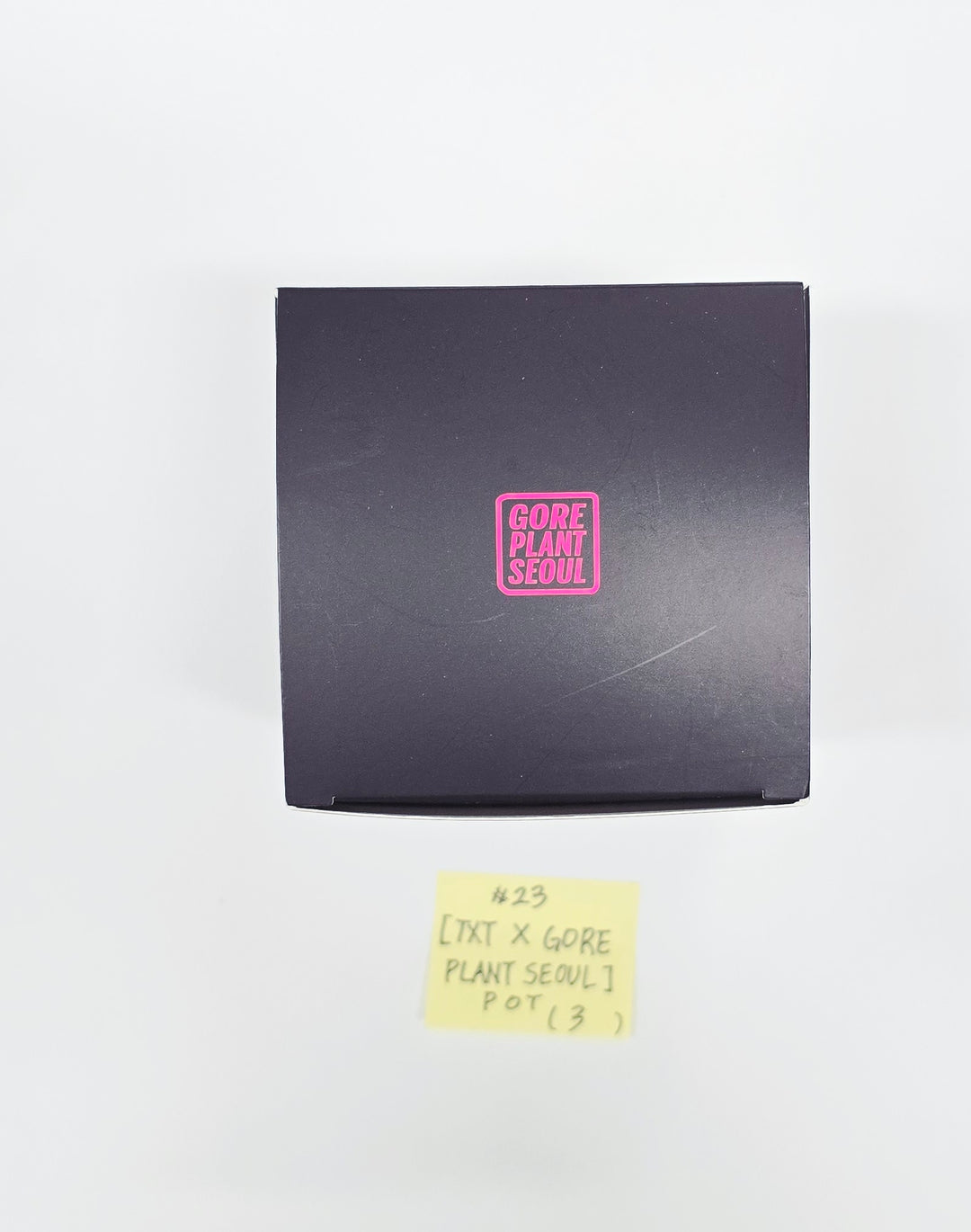 TXT "7TH YEAR: 가시덤불에 잠시 바람이 멈췄을 때" - POP-UP Store MD [26.04.14]