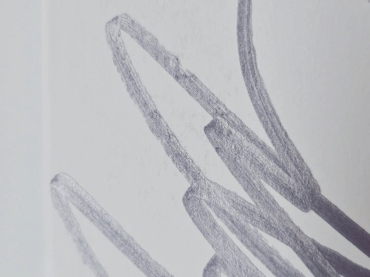 BTS "ARIRANG" - Hand Autographed(Signed) Promo Album [26.05.14]