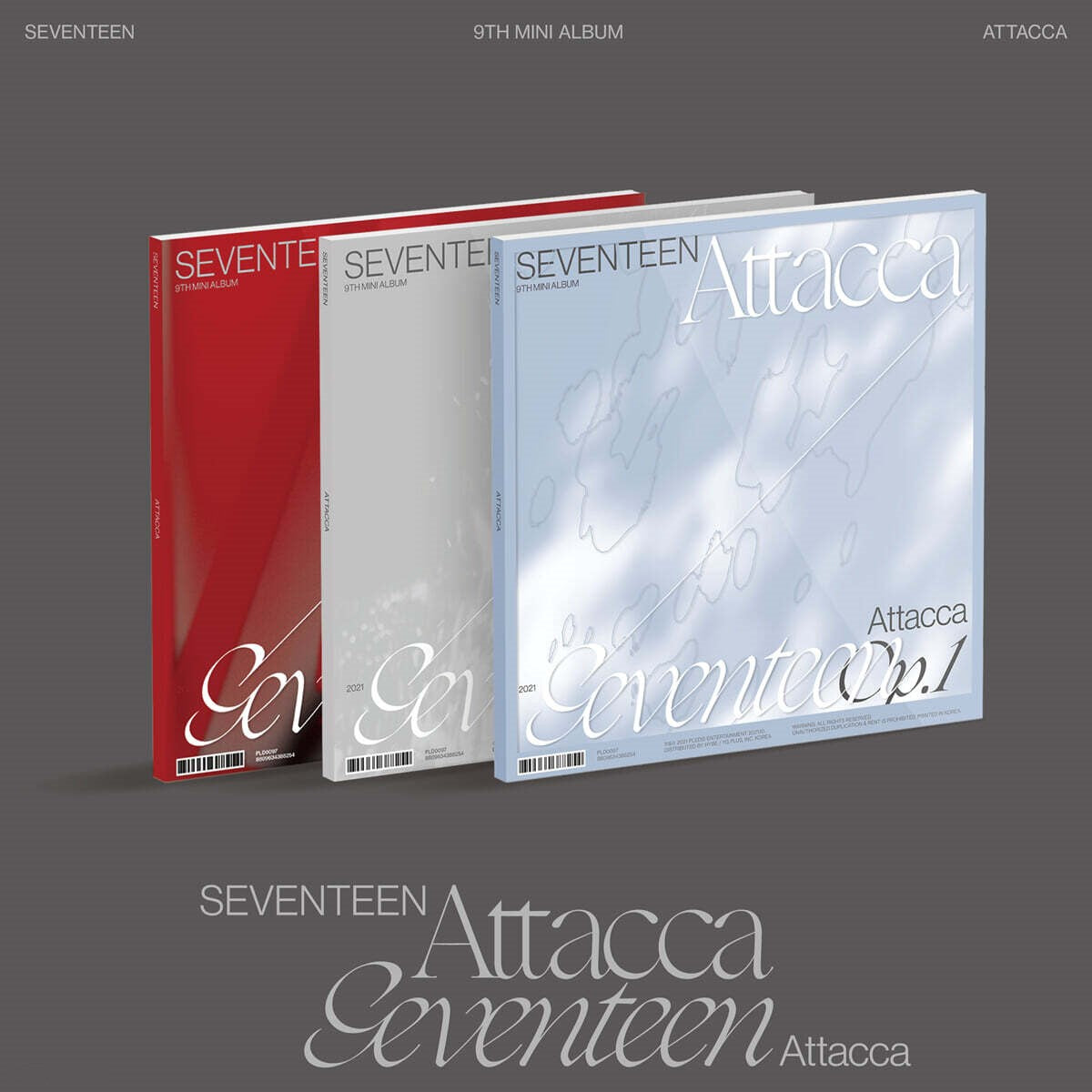 Seventeen - 9th Mini Album 