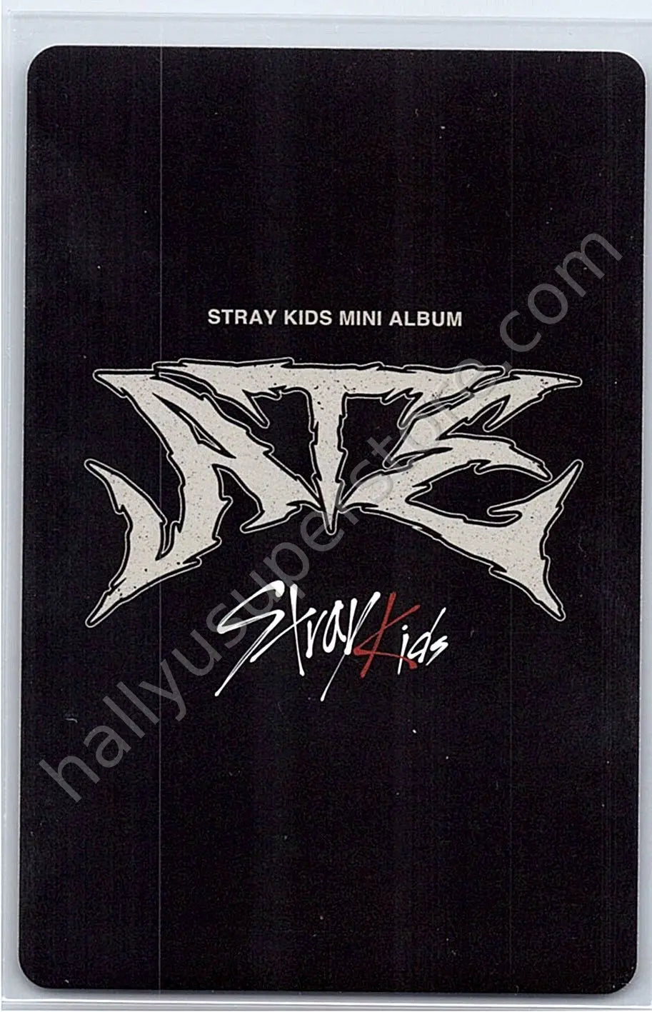 Stray Kids - Felix - ATE A version album photocard nemo version random photocard