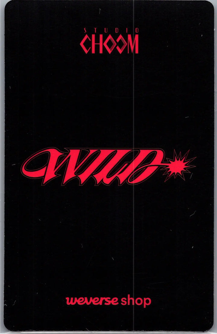 KATSEYE "WILD" - Weverse Shop Studio Choom Gift Photocard [26.08.19]