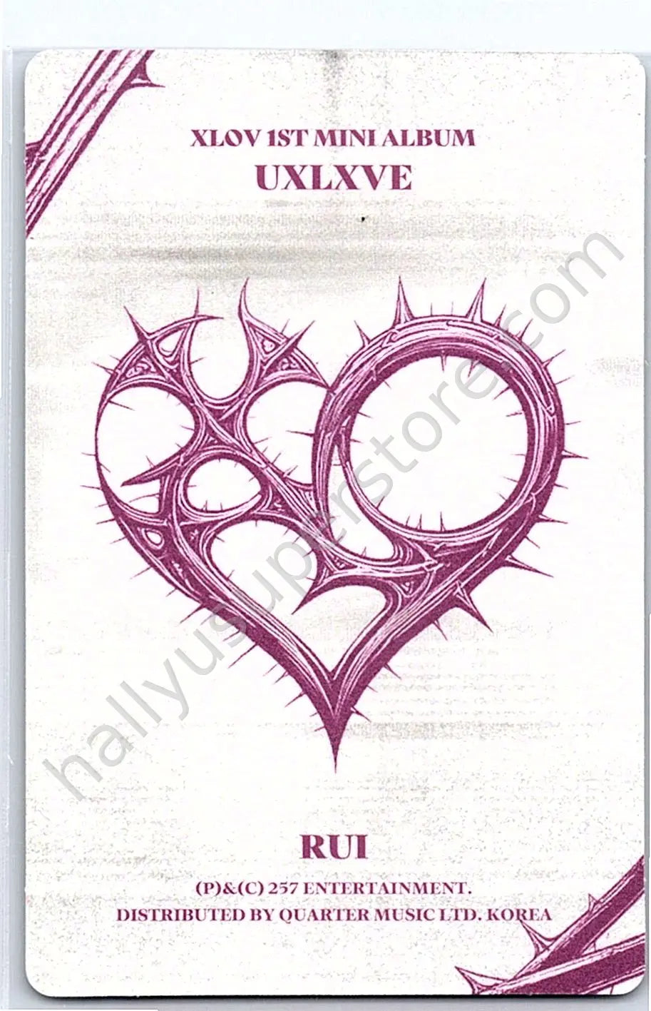 XLOV - Rui - UXLXVE album photocard N version