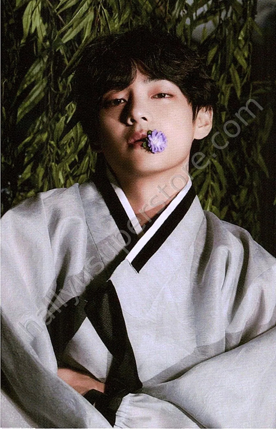 BTS - V - Dalmajung 2022 2/6 mini photocard