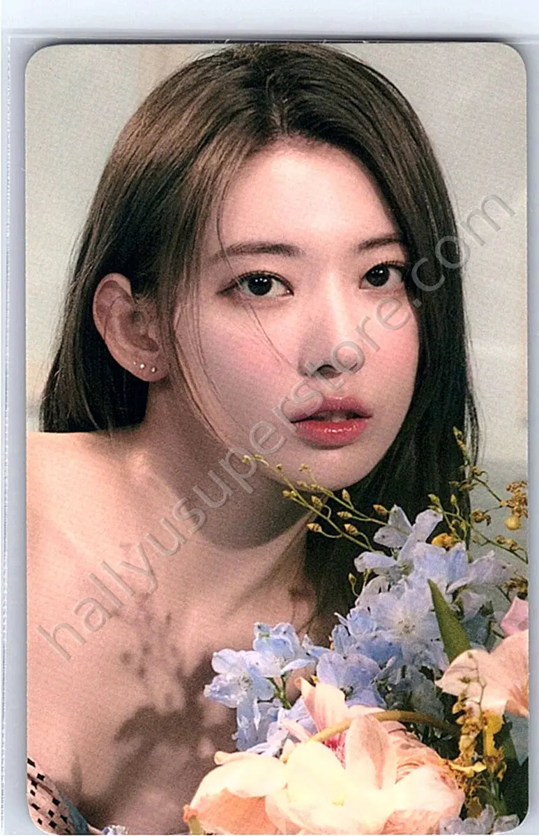 LE SSERAFIM - Sakura - FEARLESS Album pre-order benefit (pob) weverse japan