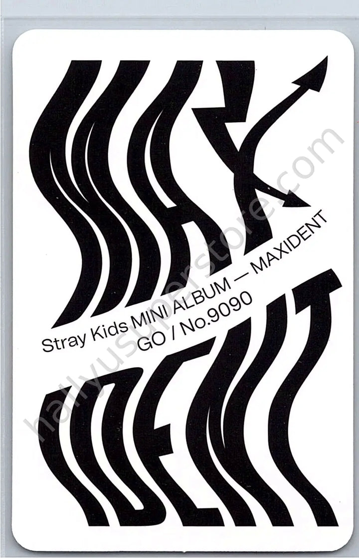 Stray Kids - HAN - Maxident