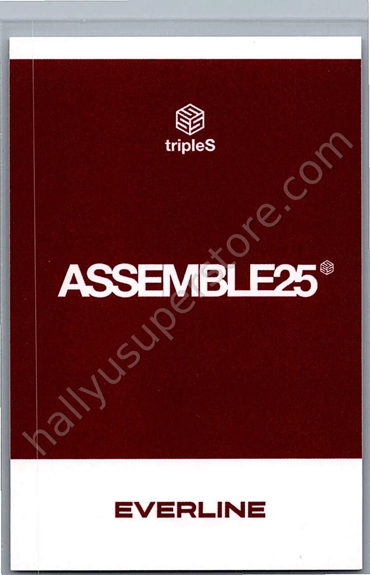 tripleS - Joobin - Assemble25 1:1 everline polaroid round 2 video call (fancall)