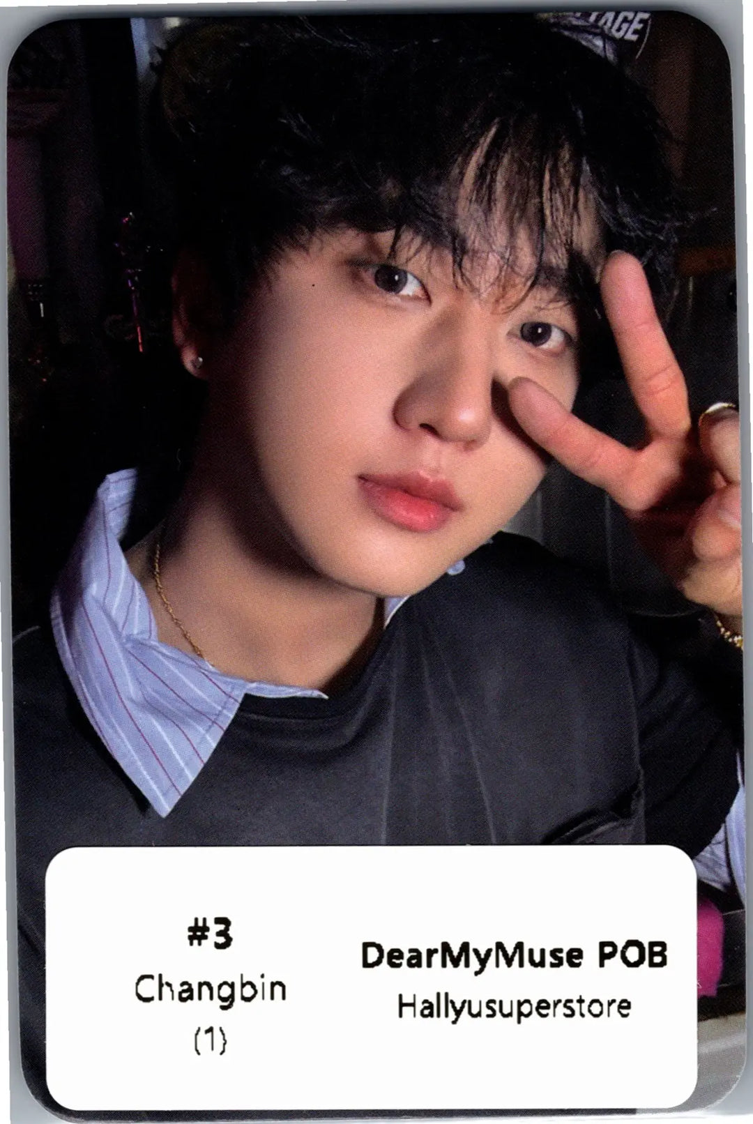 Stray Kids "THIS &amp; THAT" - Dear My Muse Pre-Order Benefit Photocard [26.08.13]