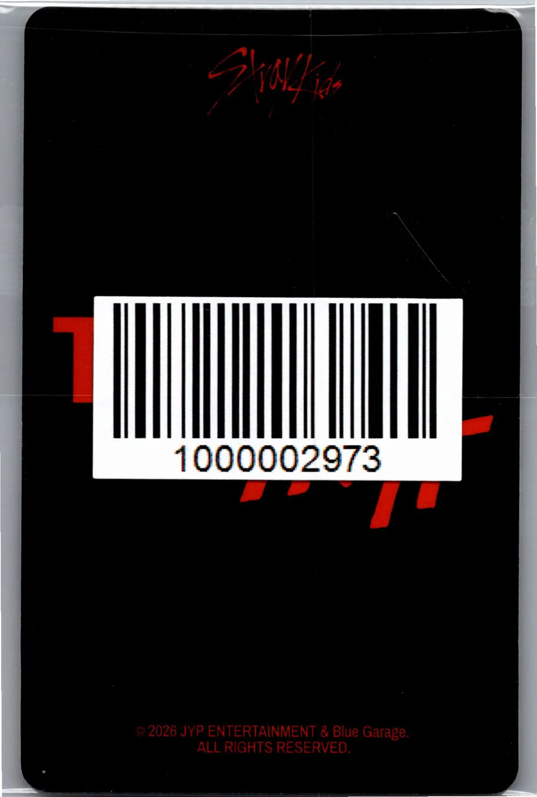 Stray Kids "THIS &amp; THAT" - FANS Pre-Order Benefit Photocard (FANS ALBUM Ver.) [26.08.11][Restocked 08/13]