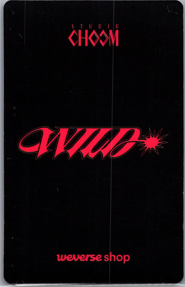 KATSEYE "WILD" - Weverse Shop Studio Choom Gift Photocard [26.08.19]
