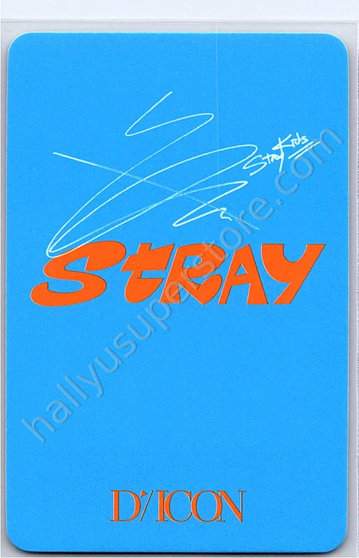 Stray Kids - Hyunjin - DICON D&