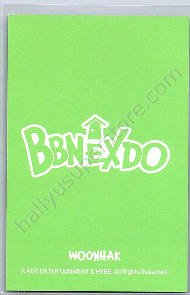 BOYNEXTDOOR - Woonhak - BOYNEXTDOOR - Woonhak - BBNEXDO Official MD Other keyring mini plush doll merch inclusion