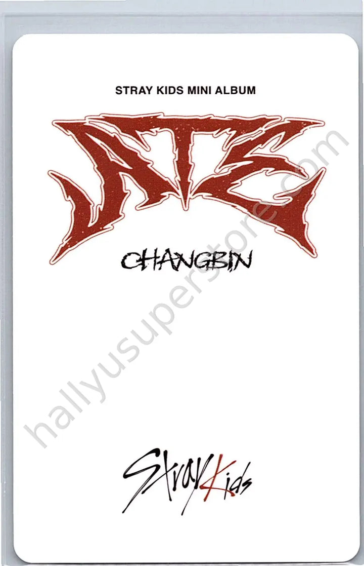 Stray Kids - Changbin - ATE album photocard B version nemo version photocard set