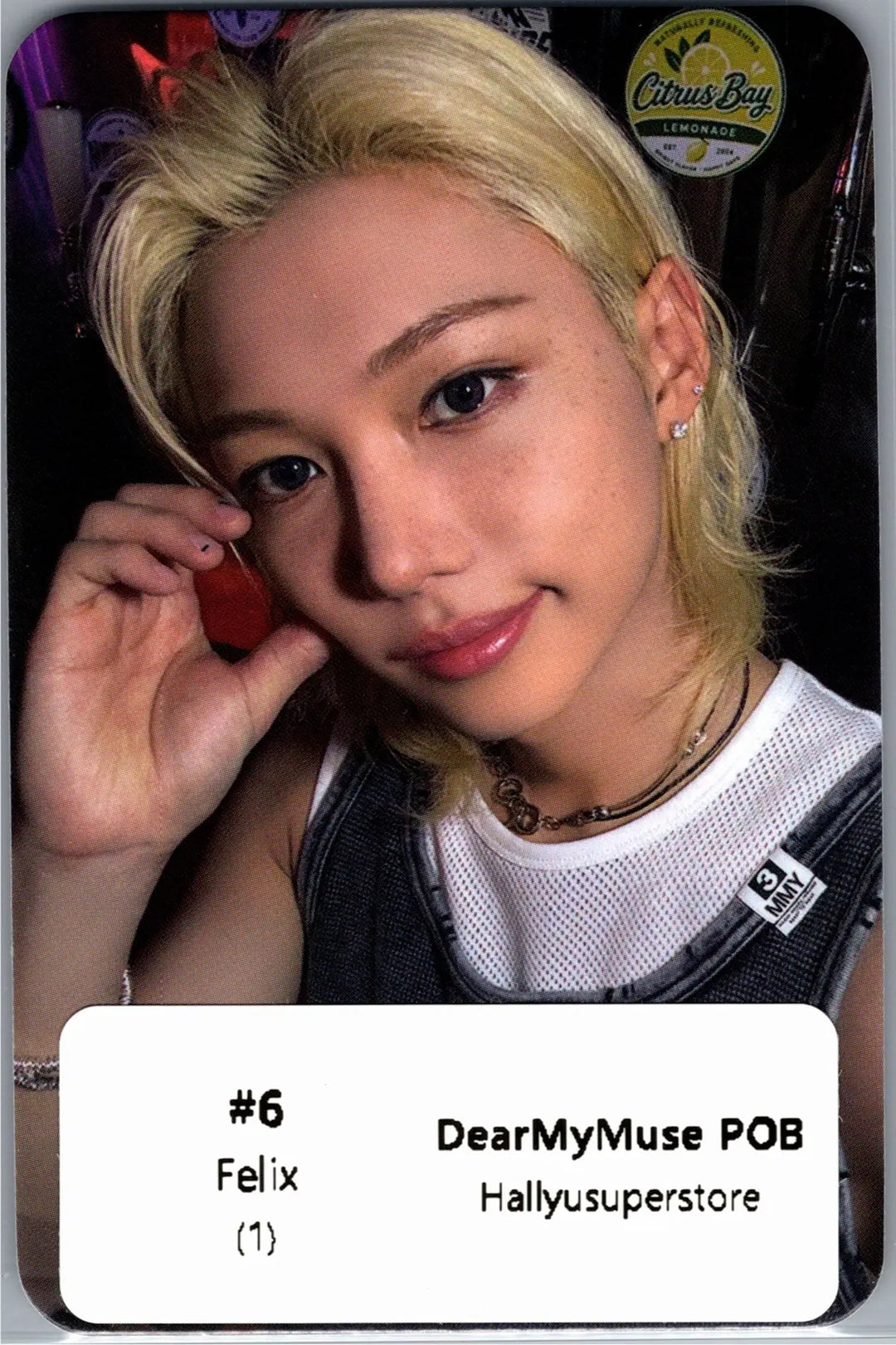 Stray Kids "THIS &amp; THAT" - Dear My Muse Pre-Order Benefit Photocard [26.08.13]